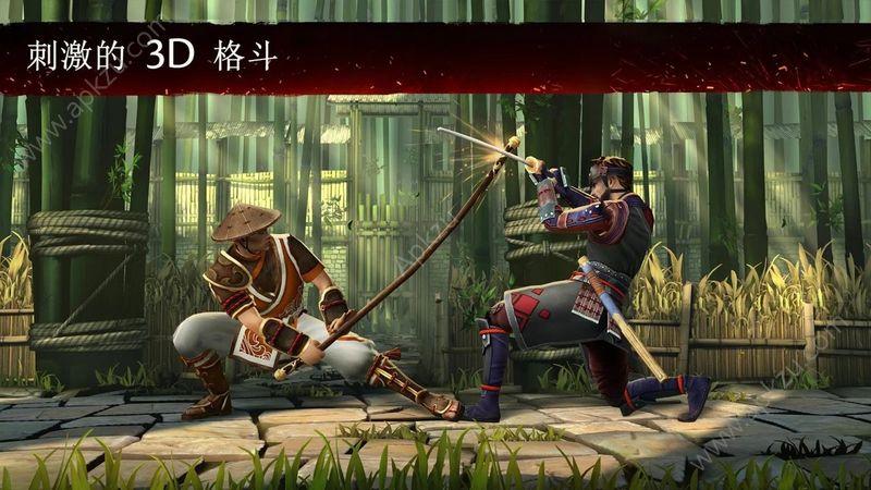 暗影格斗31.16.1火爆冬日安卓版安装包下载（shadow fight 3）截图3
