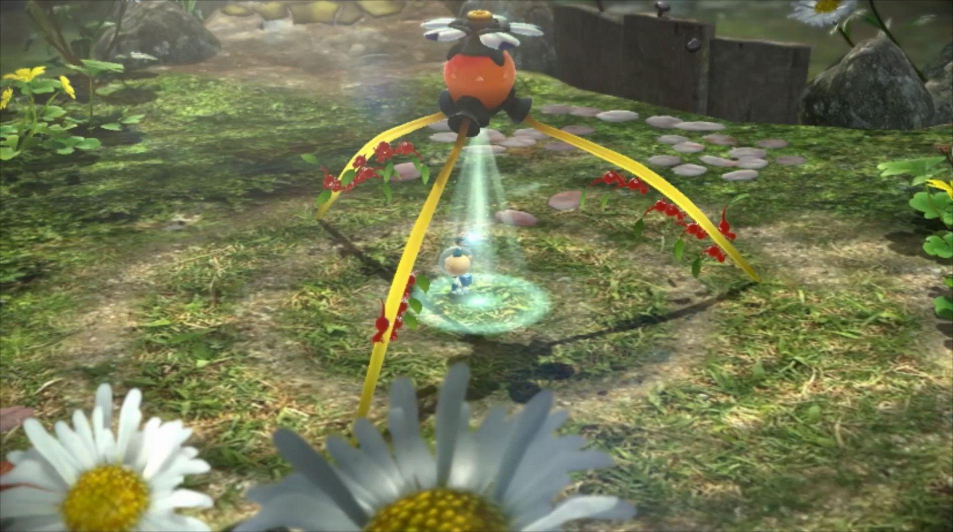  Pikmin Bloom台服截图3