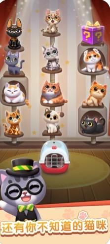 猫咪日记游戏红包福利版截图3