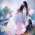 易次元昭华本纪念安线更新版