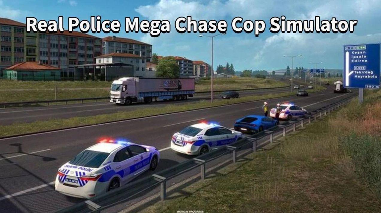 警车抓贼模拟器游戏安卓手机版截图2