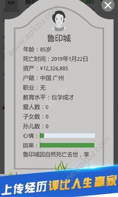 完美人生游戏下载中文版手机版截图2