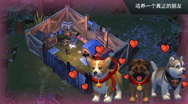 世界末日生存ee版金币版截图1