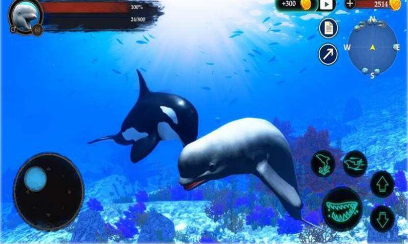  海洋大捕杀安卓版截图2