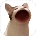 PopCat表情包游戏安卓下载