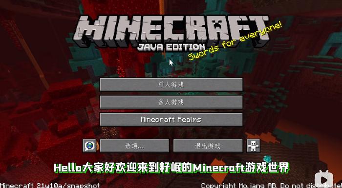 我的世界籽岷1.17 21w10a中文版最新下载截图0