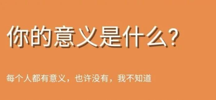 你的意义是什么鬼东西测试小程序官方版截图1