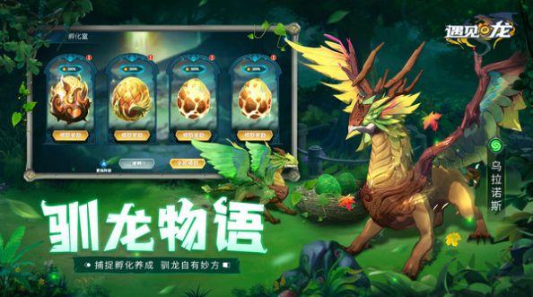 遇见龙之地城冒险官方版截图1