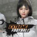 极限足球游戏官方最新版