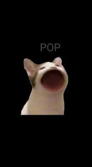 PopCat表情包游戏安卓下载截图1