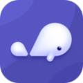 小京鱼app官方版