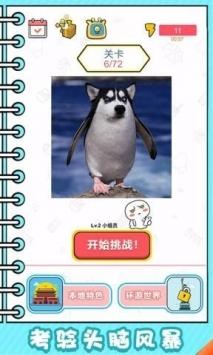看起来很最新版截图2