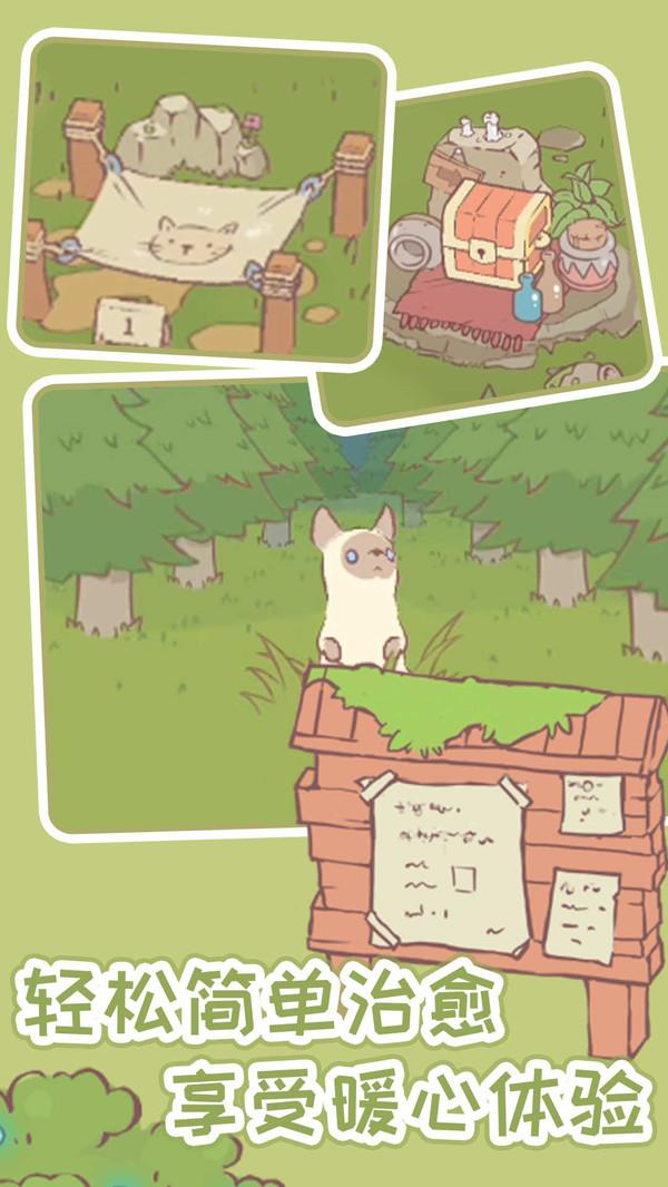 猫汤物语官方版截图3
