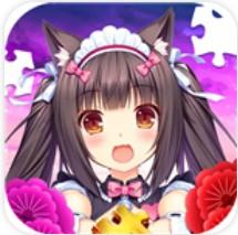 学姐的秘密拼图最新版