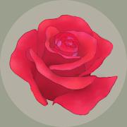 罗萨的花园RosasGarden
