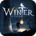 冬季生存下载安装(Winter Survival)
