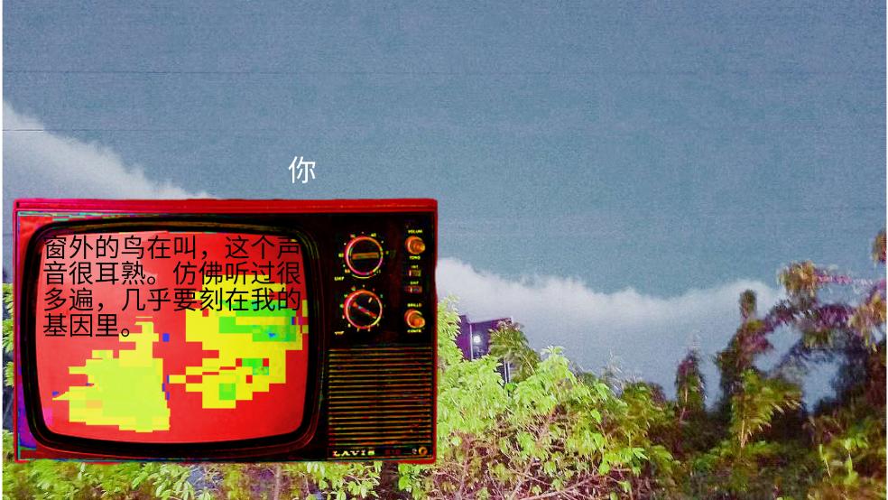 变成鸟的那一天游戏截图3