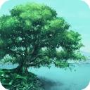 参天(The Tree)