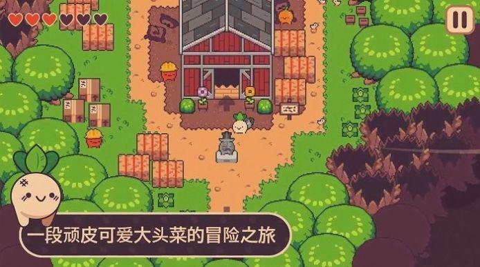 大头菜历险记Turnip Boy Commits Tax Evasion游戏