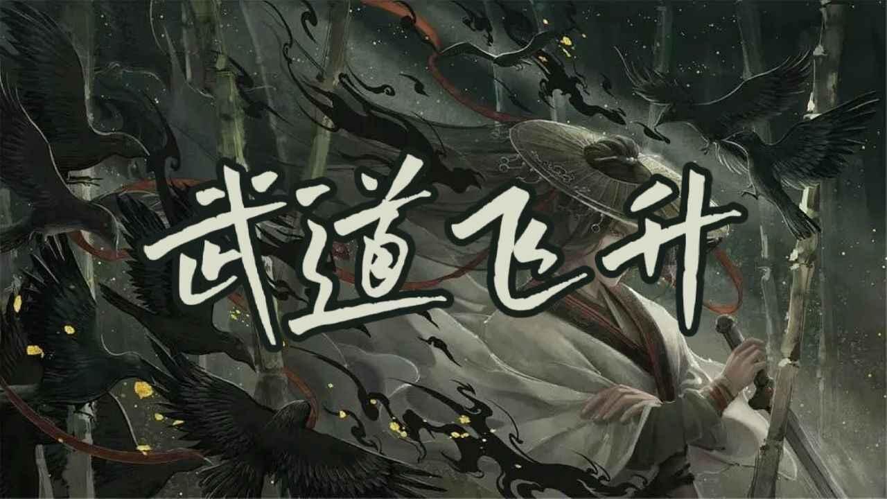 武道飞升