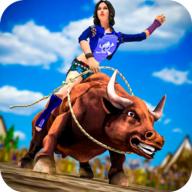 西部牛仔骑士Western Cowboy Bull Rider