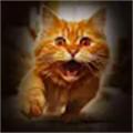 猫咪格斗战争模拟器