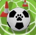 猫足球训练游戏(Cats Football Training)