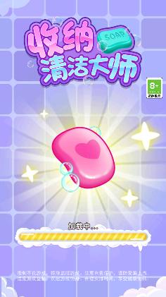 收纳清洁大师