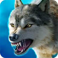 The Wolf狼族