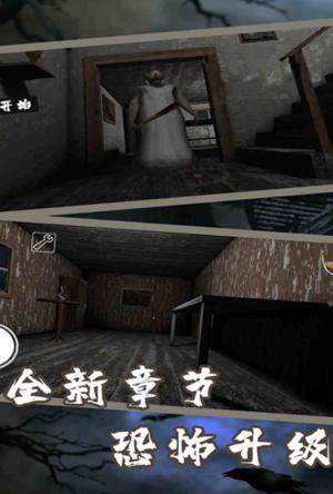 恐怖老奶奶7截图1