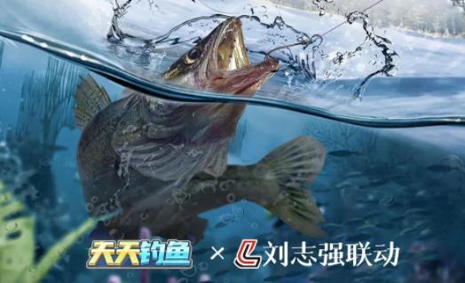 天天钓鱼下载