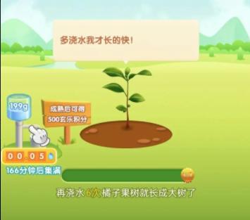 玄乐果园红包版