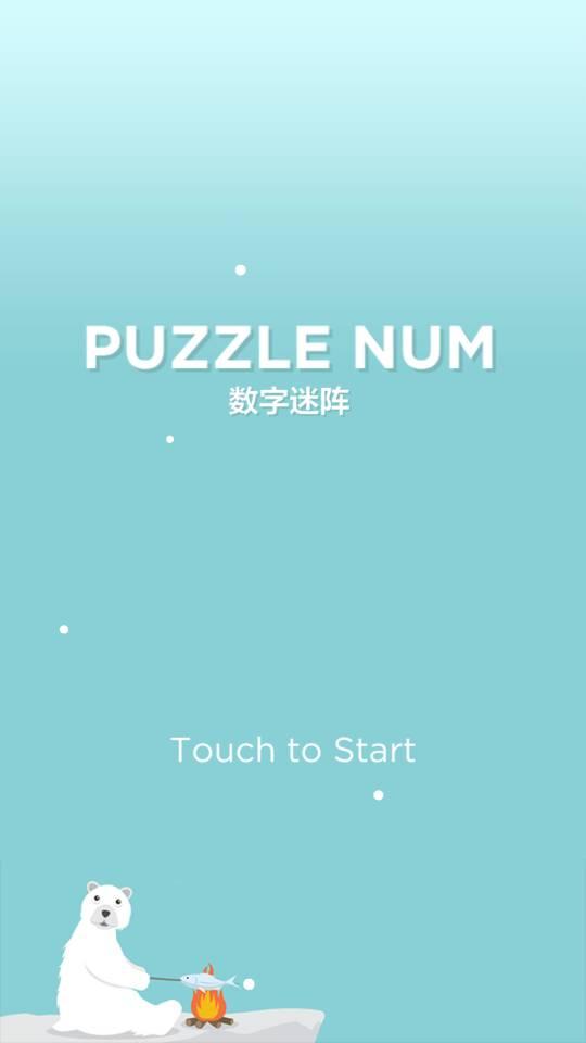 数字迷阵截图0