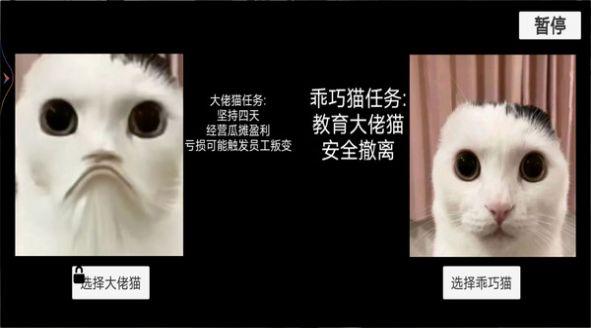 猫猫惊魂夜游戏截图1