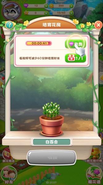 奇光精灵