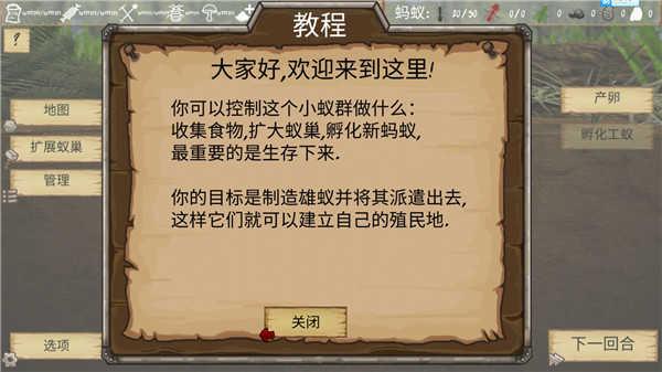 最后的蚂蚁