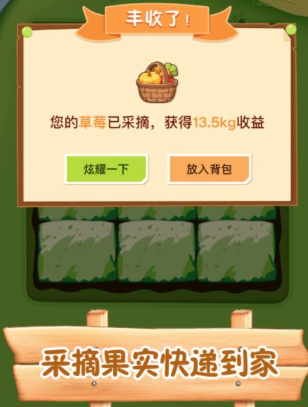 筑梦人生红包版