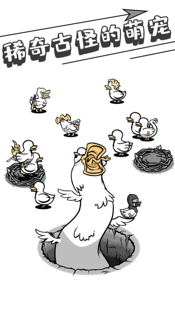 母鸡下蛋截图3
