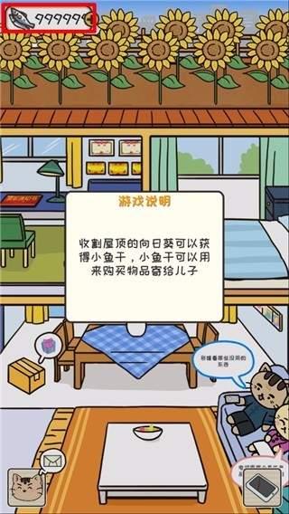 离家的猫正版
