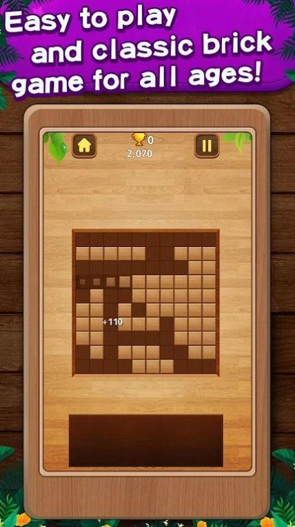 方块拼图冒险Block Puzzle Adventure游戏