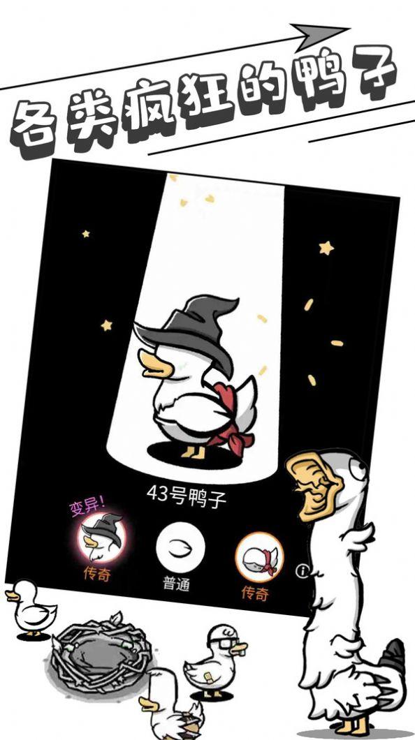 母鸡下蛋截图2