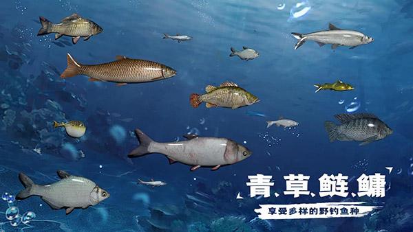 天天钓鱼官方下载