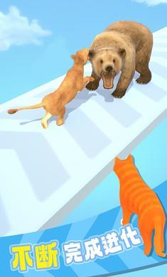 猫咪进化论截图0
