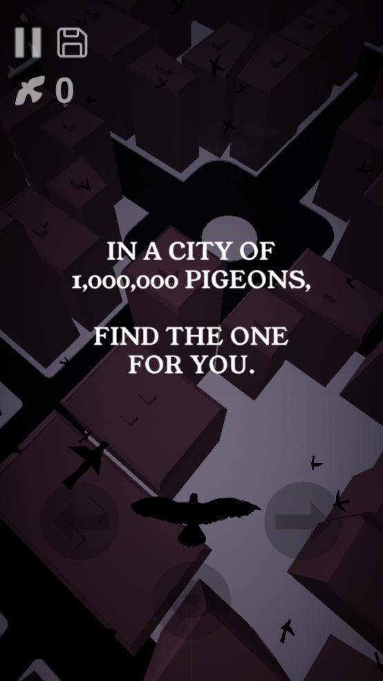 鸽子爱情故事游戏(Pigeon: A Love Story)截图1