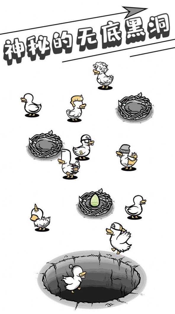母鸡下蛋截图0