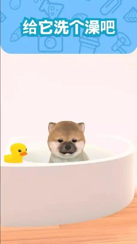 我和狗狗截图0
