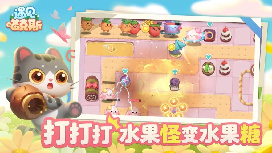 遇见喵克斯下载最新版截图3