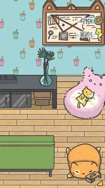 隐藏的猫咪