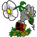 植物大战僵尸射击版0.2新版本