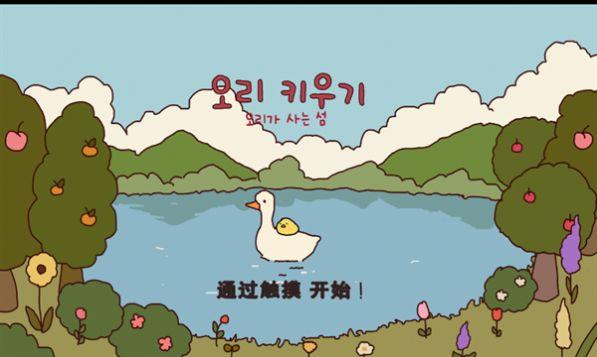 鸭子农场游戏(오리키우기)截图2